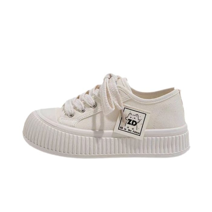 Versatile Shoes Series-10021